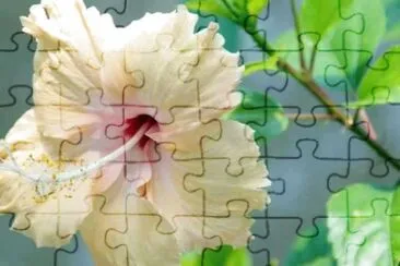 imagem jigsaw puzzle