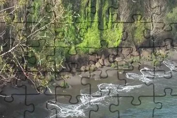 Niebla jigsaw puzzle