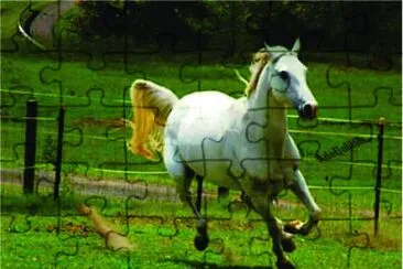 Cavalo jigsaw puzzle