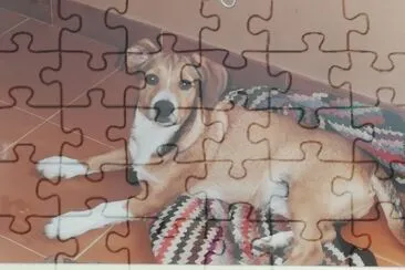Piero