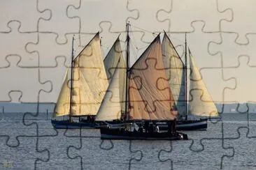 PINASSES A VOILES