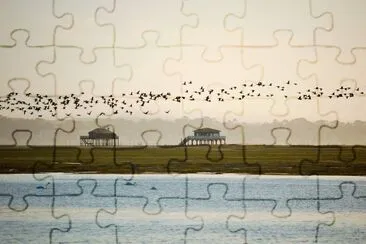 L ILE AUX OISEAUX