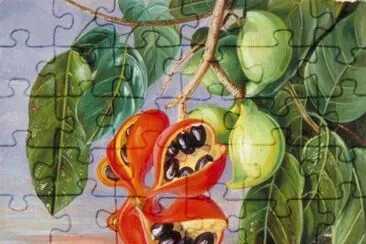 Marianne North