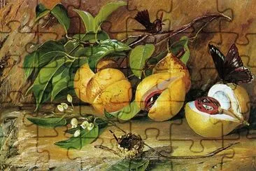 פאזל של Marianne North