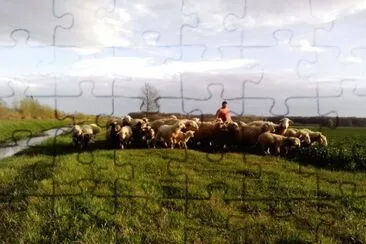 ... jigsaw puzzle
