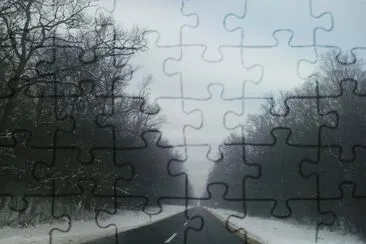 ... jigsaw puzzle