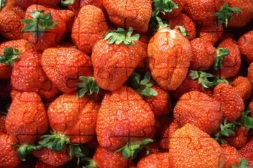 Strawberry jigsaw puzzle