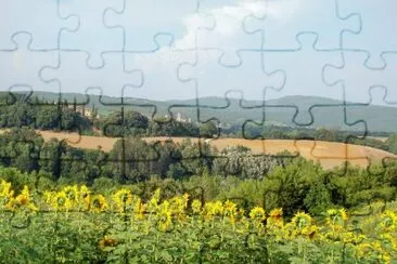 פאזל של Castelnuovo Berardenga