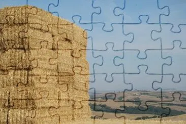 Asciano jigsaw puzzle