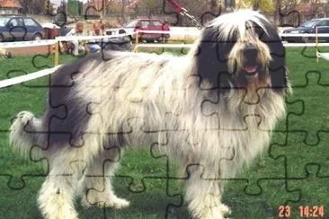 Pastore rumeno mioritic jigsaw puzzle