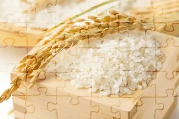 ç±³ jigsaw puzzle