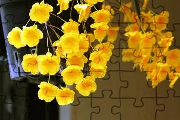 çŸ³æ–›è˜­ jigsaw puzzle