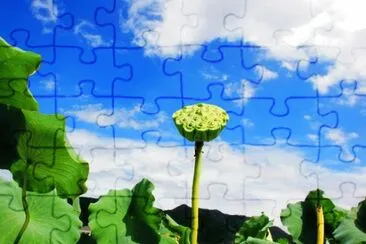 ç¾Žéº—é›²å½© jigsaw puzzle