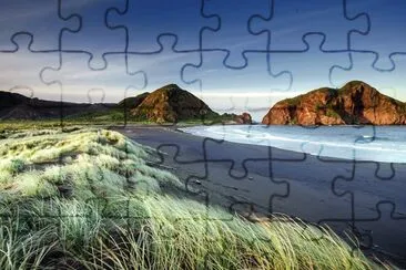 auckland jigsaw puzzle