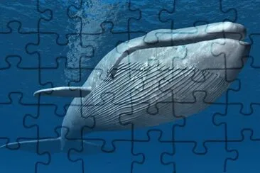 Ballena jigsaw puzzle