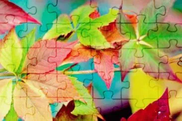draw jigsaw puzzle