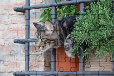 Torrita di Siena