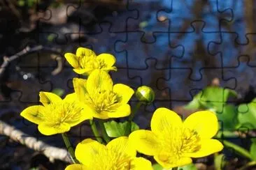 imagem jigsaw puzzle