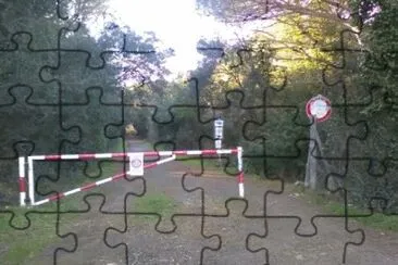 ToTheSea jigsaw puzzle
