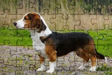 Drever jigsaw puzzle