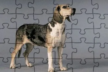 Dunker jigsaw puzzle
