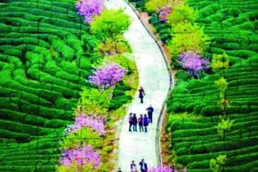 33 jigsaw puzzle