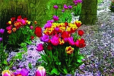 37 jigsaw puzzle