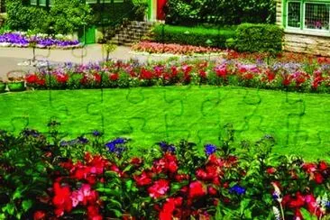 41 jigsaw puzzle