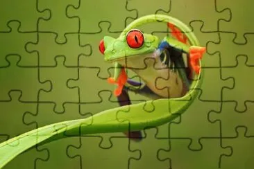 Ranita jigsaw puzzle