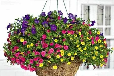 Flores jigsaw puzzle