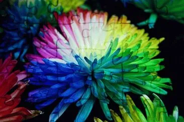 èŠ±æŸ“