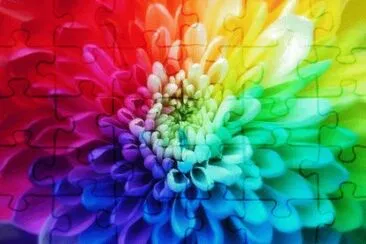 èŠ±æŸ“