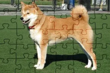 Ainu ken jigsaw puzzle