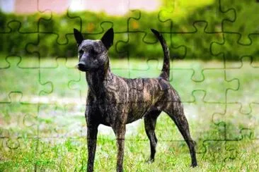 Taiwan jigsaw puzzle