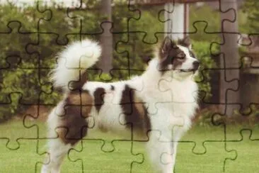 Thai bangkaew jigsaw puzzle