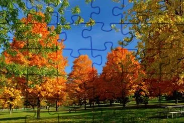 autumn park