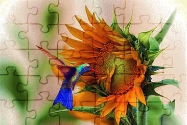 Wow jigsaw puzzle