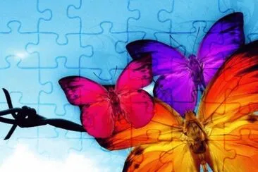 Butterfy 's jigsaw puzzle