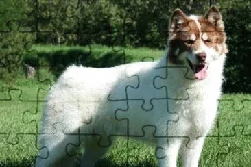 Eschimese jigsaw puzzle