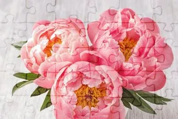 peonie jigsaw puzzle