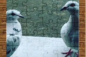 Palomitos Blancos