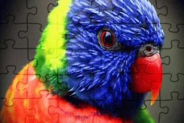 ANIMALES