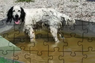 Johnson jigsaw puzzle