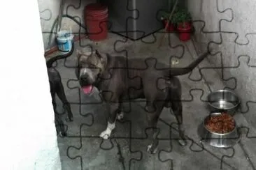Monster blue jigsaw puzzle