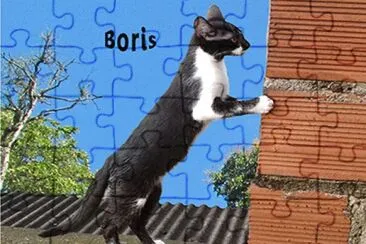 Gatito explorador jigsaw puzzle