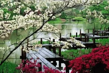 EL JARDIN JAPONES
