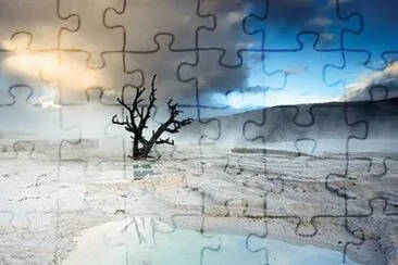 23 jigsaw puzzle