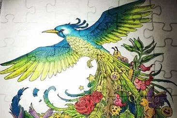 Colored Bird