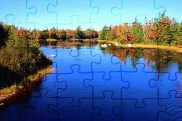  jigsaw puzzle