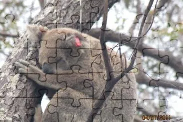 A Local jigsaw puzzle